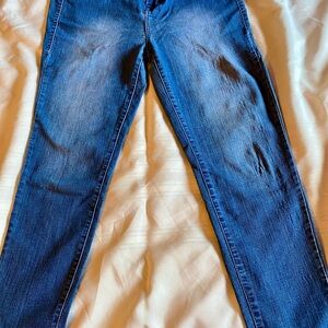 Avenue Women's Blue Jeans Jeggings